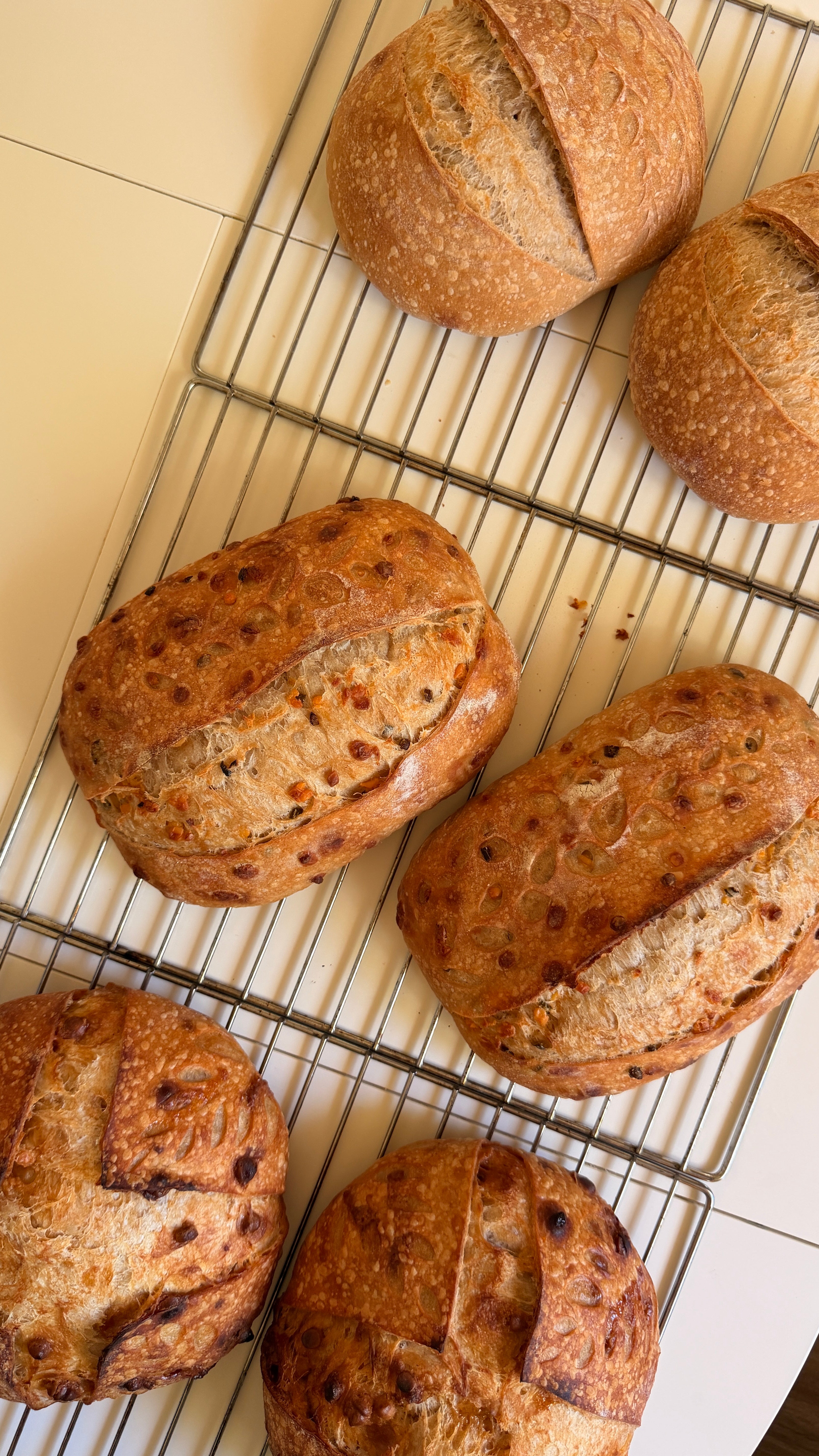 Jalapeño Cheddar Sourdough Loaf